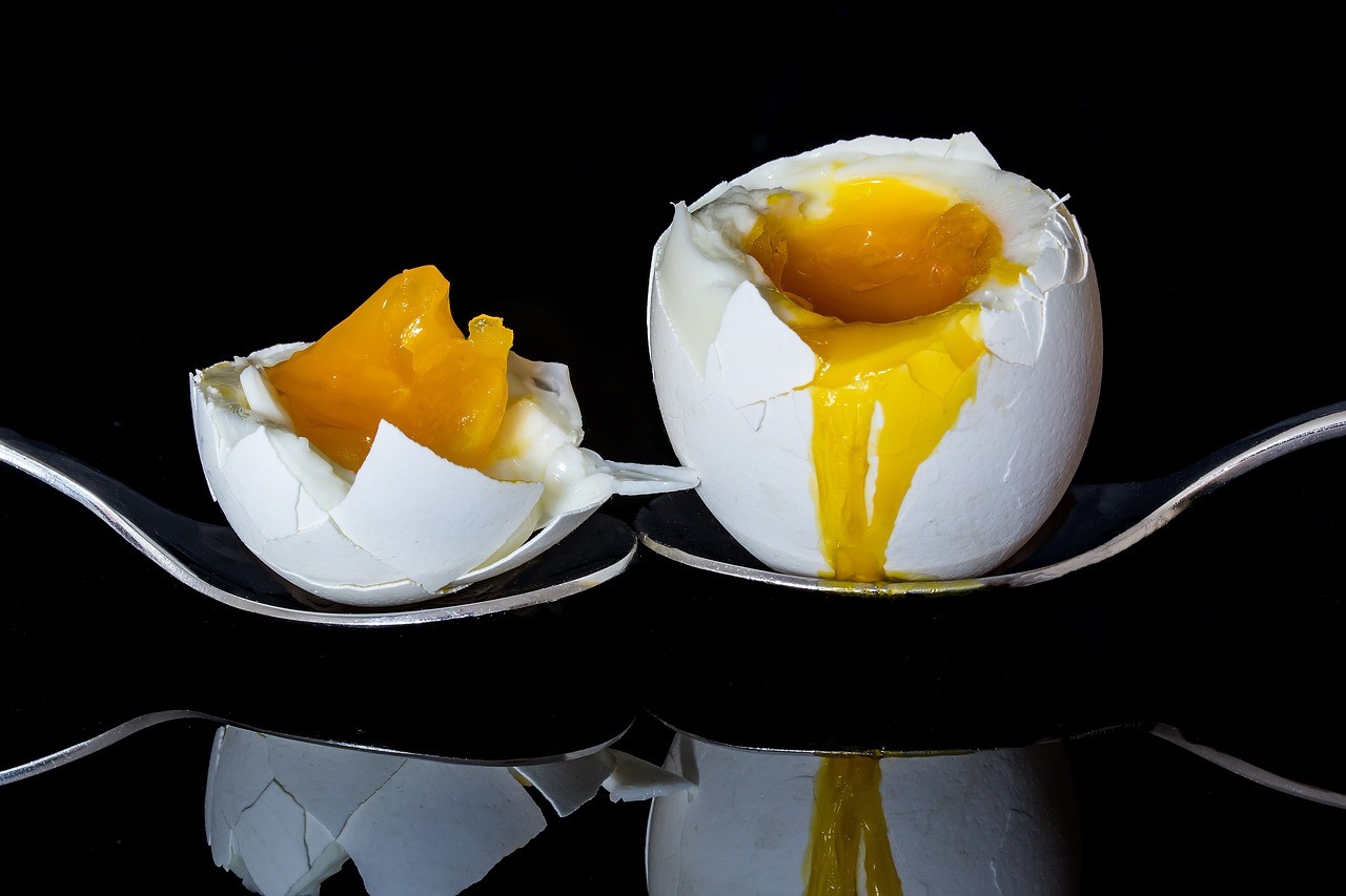 Poached egg