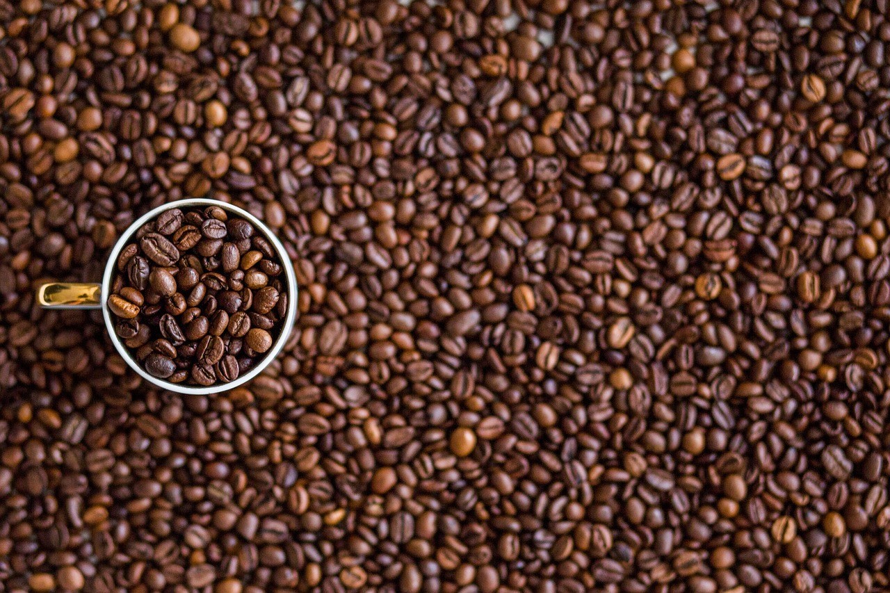 Jarda Prášil's talk "What we should know about coffee"